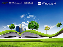 【品牌专属】雨林木风Windows10系统64位 最新正式版