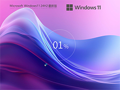 Windows11系统24H2.26100.1742.64位 专业版