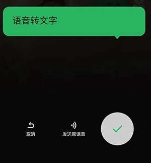 微信语音转文字