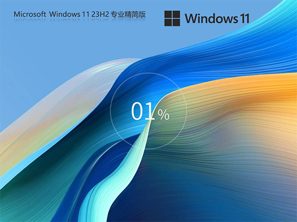 【绕过硬件检测】Windows11系统64位 专业精简版