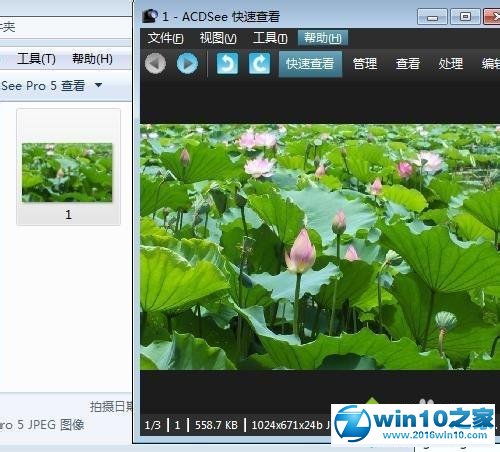 win10系统用ACDSee看图软件快速浏览管理图片文件夹的操作方法