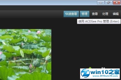 win10系统用ACDSee看图软件快速浏览管理图片文件夹的操作方法