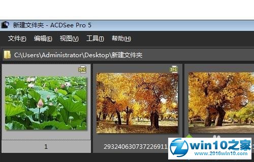 win10系统用ACDSee看图软件快速浏览管理图片文件夹的操作方法