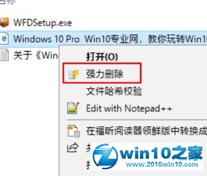 win10系统使用Wise Force Deleter删除文件的操作方法