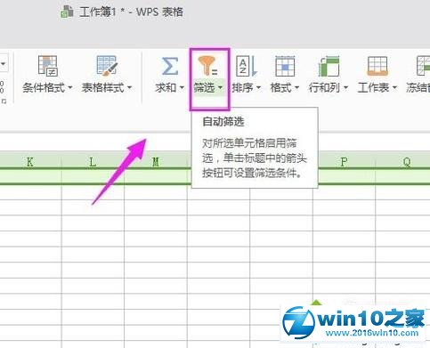 win10系统使用WPS的筛选功能的操作方法