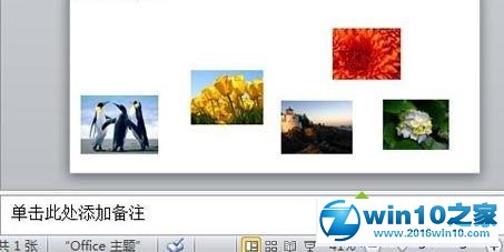 win10系统ppt2010给图片添加底纹的操作方法