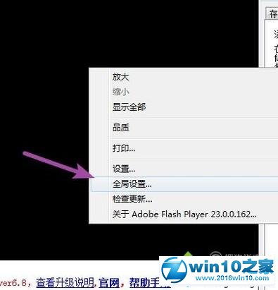 win10系统使用ckplayer软件的操作方法