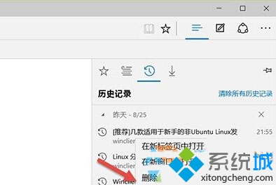 Windows10系统清除Edge浏览器历史记录的步骤3