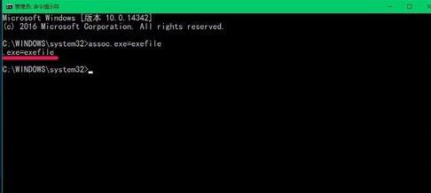 使用assoc.exe=exefile命令恢复exe文件关联的步骤3