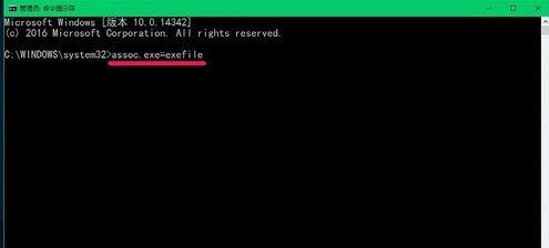 使用assoc.exe=exefile命令恢复exe文件关联的步骤2