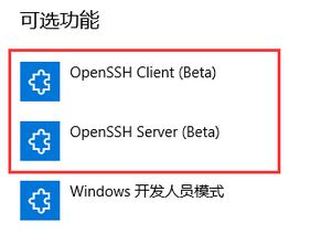 win10怎么安装OpenSSH的详细操作教程