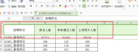 wps筛选怎么用？wps筛选功能详细使用方法