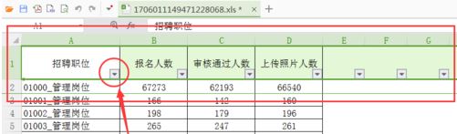 wps筛选怎么用？wps筛选功能详细使用方法