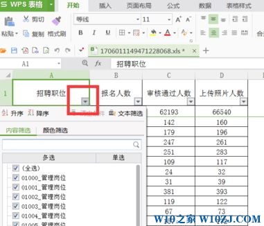 wps筛选怎么用？wps筛选功能详细使用方法