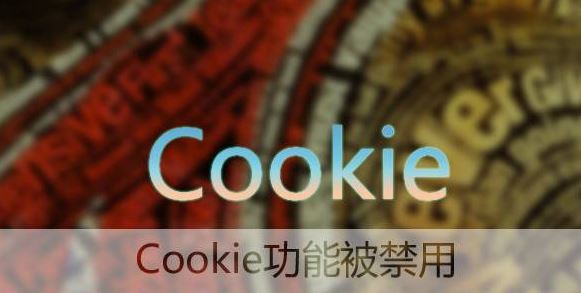 Win10怎么开启cookie功能？Win10 cookie被禁用的开启方法！