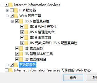 Win10如何添加iis？Win10添加iis的操作方法！